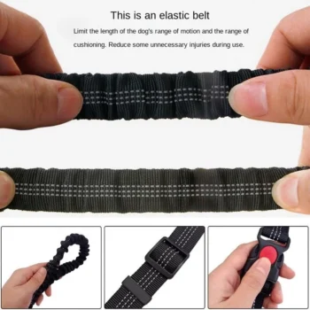 Hand Free Dog Leash for Pet Adjustable Dog leash