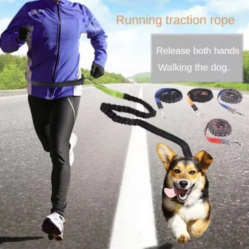 Hand Free Dog Leash for Pet Adjustable Dog leash